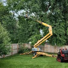 Best Emergency Tree Removal  in Wheatley Heights, NY