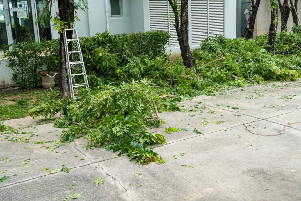 Best Lawn Irrigation Installation and Maintenance  in Wheatley Heights, NY