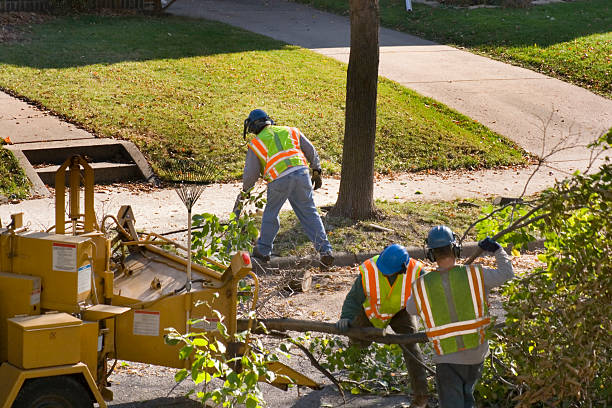 Best Lawn Grading and Leveling  in Wheatley Heights, NY